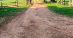 Oportunida Única: Fazenda de Café 1.535 hectares Estrutura completa Lavoura e Pecuária | Patrocínio/ MG Oportunida Única: Fazenda de Café 1.535 hectares Estrutura completa Lavoura e Pecuária | Patrocínio/ MG