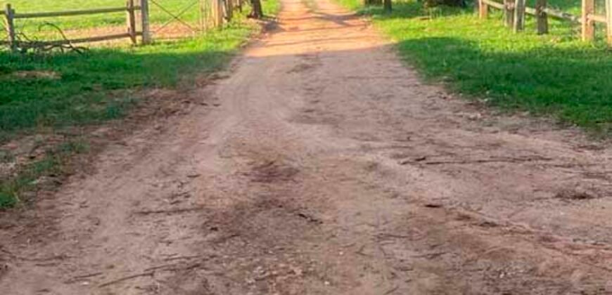 Oportunida Única: Fazenda de Café 1.535 hectares Estrutura completa Lavoura e Pecuária | Patrocínio/ MG Oportunida Única: Fazenda de Café 1.535 hectares Estrutura completa Lavoura e Pecuária | Patrocínio/ MG