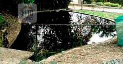 Oportunida Única: Fazenda de Café 1.535 hectares Estrutura completa Lavoura e Pecuária | Patrocínio/ MG Oportunida Única: Fazenda de Café 1.535 hectares Estrutura completa Lavoura e Pecuária | Patrocínio/ MG