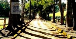 Oportunida Única: Fazenda de Café 1.535 hectares Estrutura completa Lavoura e Pecuária | Patrocínio/ MG Oportunida Única: Fazenda de Café 1.535 hectares Estrutura completa Lavoura e Pecuária | Patrocínio/ MG