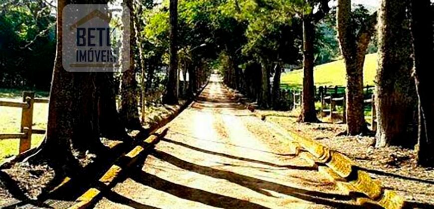 Oportunida Única: Fazenda de Café 1.535 hectares Estrutura completa Lavoura e Pecuária | Patrocínio/ MG Oportunida Única: Fazenda de Café 1.535 hectares Estrutura completa Lavoura e Pecuária | Patrocínio/ MG