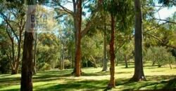 Oportunida Única: Fazenda de Café 1.535 hectares Estrutura completa Lavoura e Pecuária | Patrocínio/ MG Oportunida Única: Fazenda de Café 1.535 hectares Estrutura completa Lavoura e Pecuária | Patrocínio/ MG