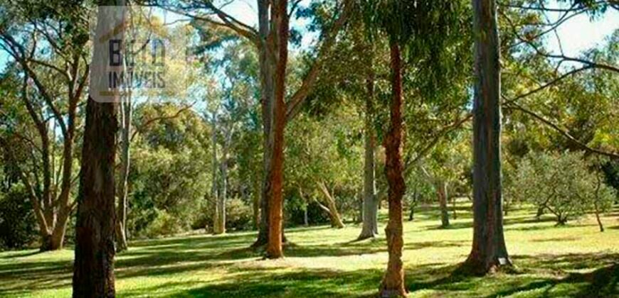 Oportunida Única: Fazenda de Café 1.535 hectares Estrutura completa Lavoura e Pecuária | Patrocínio/ MG Oportunida Única: Fazenda de Café 1.535 hectares Estrutura completa Lavoura e Pecuária | Patrocínio/ MG