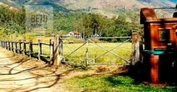 Oportunida Única: Fazenda de Café 1.535 hectares Estrutura completa Lavoura e Pecuária | Patrocínio/ MG Oportunida Única: Fazenda de Café 1.535 hectares Estrutura completa Lavoura e Pecuária | Patrocínio/ MG