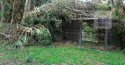 Oportunida Única: Fazenda de Café 1.535 hectares Estrutura completa Lavoura e Pecuária | Patrocínio/ MG Oportunida Única: Fazenda de Café 1.535 hectares Estrutura completa Lavoura e Pecuária | Patrocínio/ MG