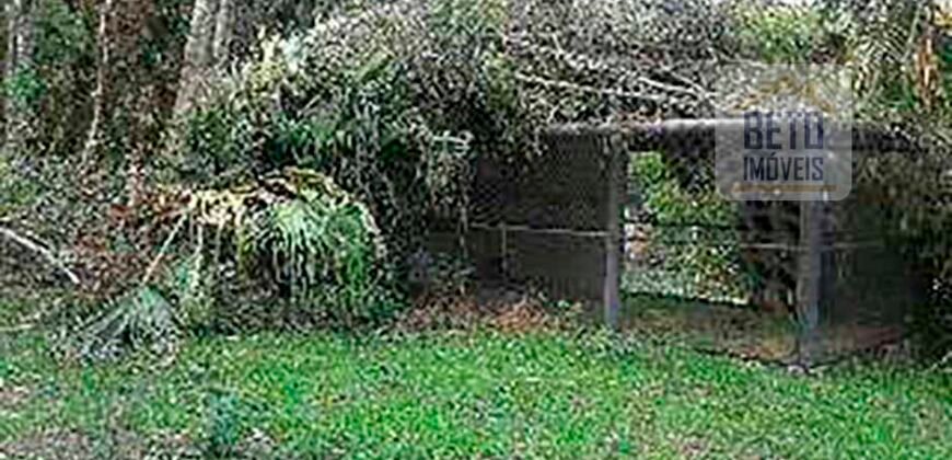 Oportunida Única: Fazenda de Café 1.535 hectares Estrutura completa Lavoura e Pecuária | Patrocínio/ MG Oportunida Única: Fazenda de Café 1.535 hectares Estrutura completa Lavoura e Pecuária | Patrocínio/ MG