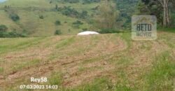 Oportunida Única: Fazenda de Café 1.535 hectares Estrutura completa Lavoura e Pecuária | Patrocínio/ MG Oportunida Única: Fazenda de Café 1.535 hectares Estrutura completa Lavoura e Pecuária | Patrocínio/ MG