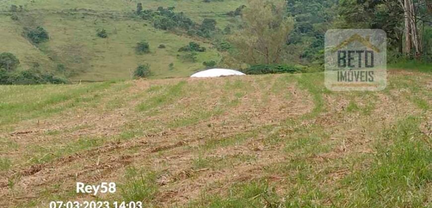 Oportunida Única: Fazenda de Café 1.535 hectares Estrutura completa Lavoura e Pecuária | Patrocínio/ MG Oportunida Única: Fazenda de Café 1.535 hectares Estrutura completa Lavoura e Pecuária | Patrocínio/ MG