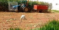 Oportunida Única: Fazenda de Café 1.535 hectares Estrutura completa Lavoura e Pecuária | Patrocínio/ MG Oportunida Única: Fazenda de Café 1.535 hectares Estrutura completa Lavoura e Pecuária | Patrocínio/ MG