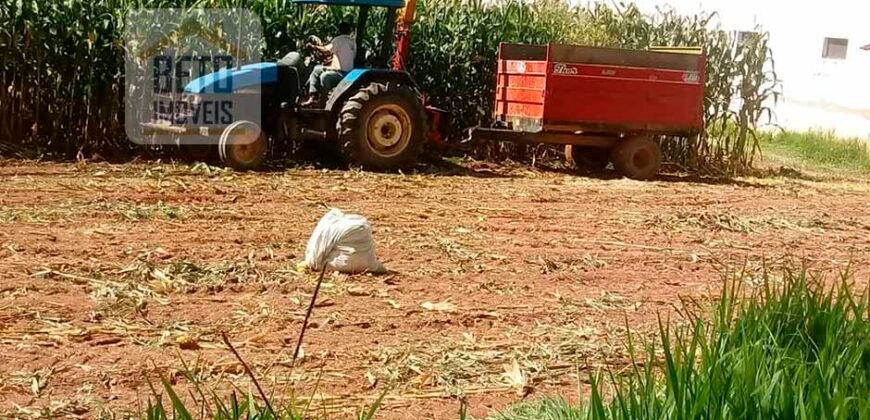 Oportunida Única: Fazenda de Café 1.535 hectares Estrutura completa Lavoura e Pecuária | Patrocínio/ MG Oportunida Única: Fazenda de Café 1.535 hectares Estrutura completa Lavoura e Pecuária | Patrocínio/ MG