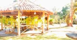 Oportunida Única: Fazenda de Café 1.535 hectares Estrutura completa Lavoura e Pecuária | Patrocínio/ MG Oportunida Única: Fazenda de Café 1.535 hectares Estrutura completa Lavoura e Pecuária | Patrocínio/ MG