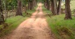 Oportunida Única: Fazenda de Café 1.535 hectares Estrutura completa Lavoura e Pecuária | Patrocínio/ MG Oportunida Única: Fazenda de Café 1.535 hectares Estrutura completa Lavoura e Pecuária | Patrocínio/ MG