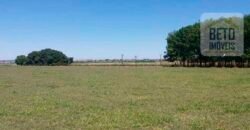 Ótimo Investimento! Fazenda 1.000 alqueires Pecuária e Lavoura Casa sede de primeira c/ piscina | Ourinhos/ SP