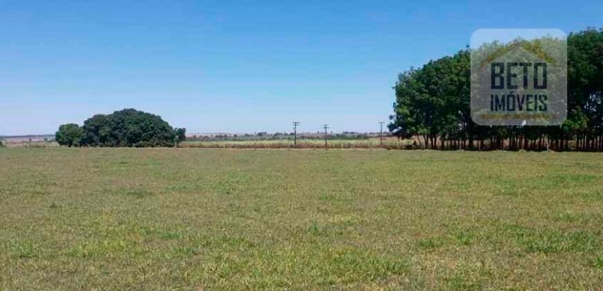 Ótimo Investimento! Fazenda 1.000 alqueires Pecuária e Lavoura Casa sede de primeira c/ piscina | Ourinhos/ SP