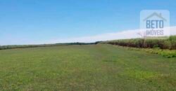 Ótimo Investimento! Fazenda 1.000 alqueires Pecuária e Lavoura Casa sede de primeira c/ piscina | Ourinhos/ SP