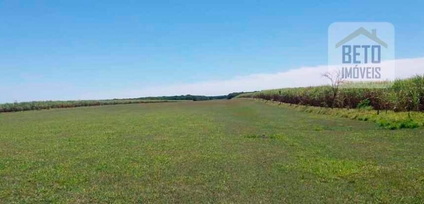 Ótimo Investimento! Fazenda 1.000 alqueires Pecuária e Lavoura Casa sede de primeira c/ piscina | Ourinhos/ SP