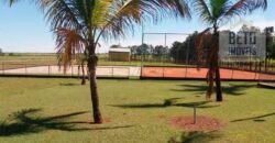 Ótimo Investimento! Fazenda 1.000 alqueires Pecuária e Lavoura Casa sede de primeira c/ piscina | Ourinhos/ SP