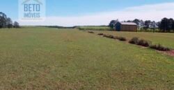 Ótimo Investimento! Fazenda 1.000 alqueires Pecuária e Lavoura Casa sede de primeira c/ piscina | Ourinhos/ SP