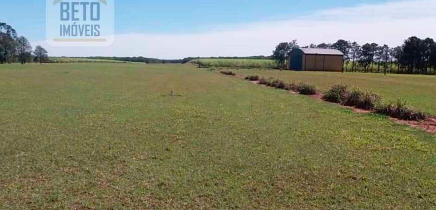 Ótimo Investimento! Fazenda 1.000 alqueires Pecuária e Lavoura Casa sede de primeira c/ piscina | Ourinhos/ SP