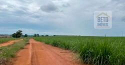 Fazenda de Cana-de-açúcar à Venda 215 alqueires Contrato com a Usina São Martinho | Araraquara/ SP