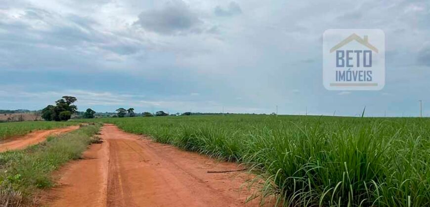 Fazenda de Cana-de-açúcar à Venda 215 alqueires Contrato com a Usina São Martinho | Araraquara/ SP