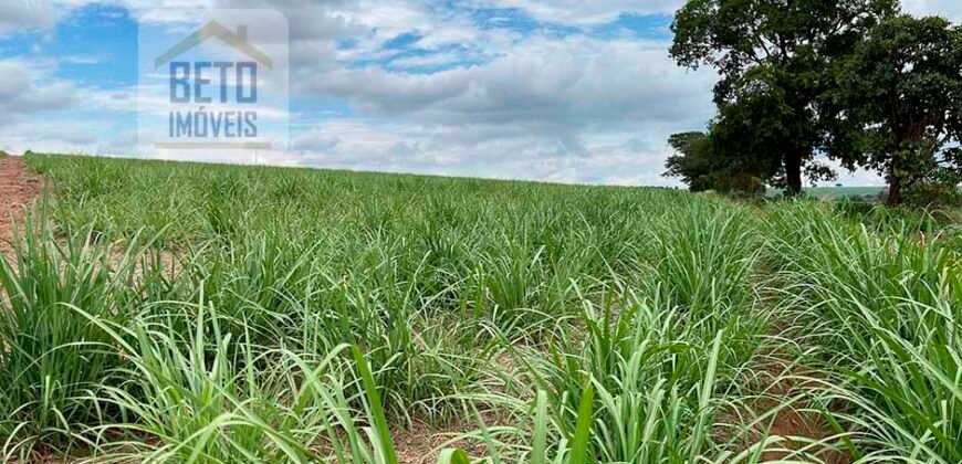 Fazenda de Cana-de-açúcar à Venda 215 alqueires Contrato com a Usina São Martinho | Araraquara/ SP