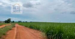 Fazenda de Cana-de-açúcar à Venda 215 alqueires Contrato com a Usina São Martinho | Araraquara/ SP