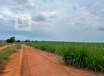 Fazenda de Cana-de-açúcar à Venda 215 alqueires Contrato com a Usina São Martinho | Araraquara/ SP
