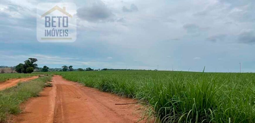 Fazenda de Cana-de-açúcar à Venda 215 alqueires Contrato com a Usina São Martinho | Araraquara/ SP