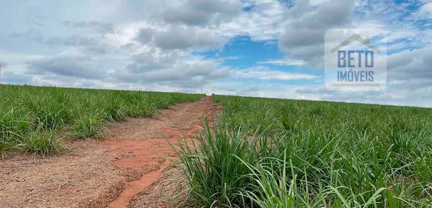 Fazenda de Cana-de-açúcar à Venda 215 alqueires Contrato com a Usina São Martinho | Araraquara/ SP