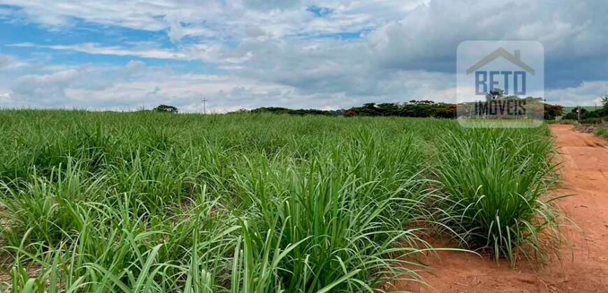Fazenda de Cana-de-açúcar à Venda 215 alqueires Contrato com a Usina São Martinho | Araraquara/ SP