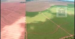 Oportunidade Única: Fazenda Arrendada de Cana 1.689 hectares Toda Completa | Teodoro Sampaio/ SP