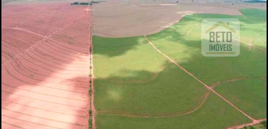 Oportunidade Única: Fazenda Arrendada de Cana 1.689 hectares Toda Completa | Teodoro Sampaio/ SP