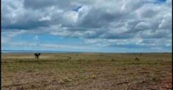 Oportunidade Única: Fazenda Arrendada de Cana 1.689 hectares Toda Completa | Teodoro Sampaio/ SP