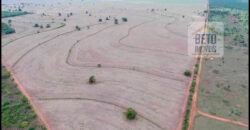 Oportunidade Única: Fazenda Arrendada de Cana 1.689 hectares Toda Completa | Teodoro Sampaio/ SP