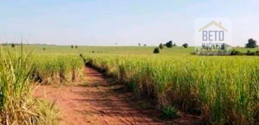 Oportunidade Única: Fazenda Arrendada de Cana 1.689 hectares Toda Completa | Teodoro Sampaio/ SP