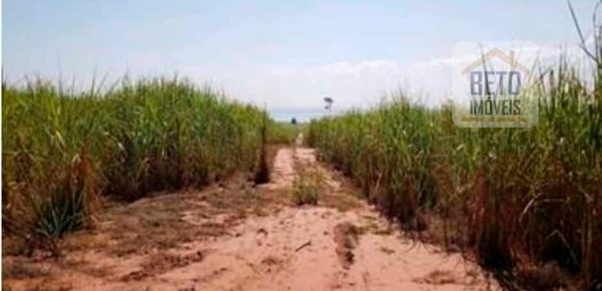 Oportunidade Única: Fazenda Arrendada de Cana 1.689 hectares Toda Completa | Teodoro Sampaio/ SP