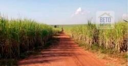 Oportunidade Única: Fazenda Arrendada de Cana 1.689 hectares Toda Completa | Teodoro Sampaio/ SP