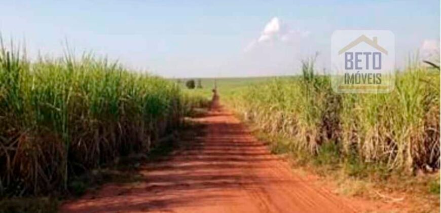 Oportunidade Única: Fazenda Arrendada de Cana 1.689 hectares Toda Completa | Teodoro Sampaio/ SP