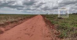 Oportunidade Única: Fazenda Arrendada de Cana 1.689 hectares Toda Completa | Teodoro Sampaio/ SP