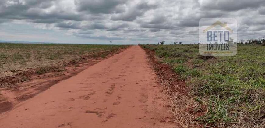 Oportunidade Única: Fazenda Arrendada de Cana 1.689 hectares Toda Completa | Teodoro Sampaio/ SP