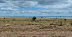 Oportunidade Única: Fazenda Arrendada de Cana 1.689 hectares Toda Completa | Teodoro Sampaio/ SP