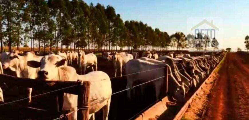 Fazenda à Venda com 2.044 alqueires plantio de cana Toda infraestrutura | São Paulo Fazenda à Venda com 2.044 alqueires plantio de cana Toda infraestrutura | São Paulo