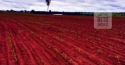 Fazenda à Venda com 2.044 alqueires plantio de cana Toda infraestrutura | São Paulo Fazenda à Venda com 2.044 alqueires plantio de cana Toda infraestrutura | São Paulo