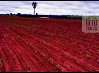 Fazenda à Venda com 2.044 alqueires plantio de cana Toda infraestrutura | São Paulo