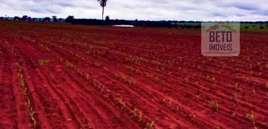 Fazenda à Venda com 2.044 alqueires plantio de cana Toda infraestrutura | São Paulo Fazenda à Venda com 2.044 alqueires plantio de cana Toda infraestrutura | São Paulo