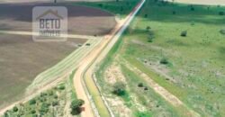 Oportunidade Rara: Fazenda 11.829 hectares Incluso 6.000 cabeças de gado | Jussara/ Goiás