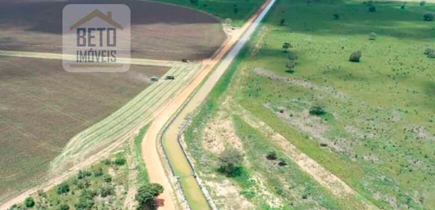 Oportunidade Rara: Fazenda 11.829 hectares Incluso 6.000 cabeças de gado | Jussara/ Goiás