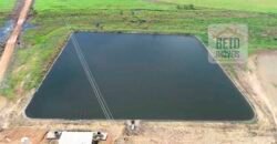 Oportunidade Rara: Fazenda 11.829 hectares Incluso 6.000 cabeças de gado | Jussara/ Goiás