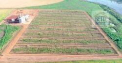 Oportunidade Rara: Fazenda 11.829 hectares Incluso 6.000 cabeças de gado | Jussara/ Goiás